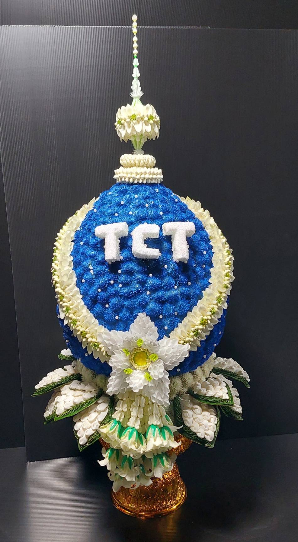 tct logo